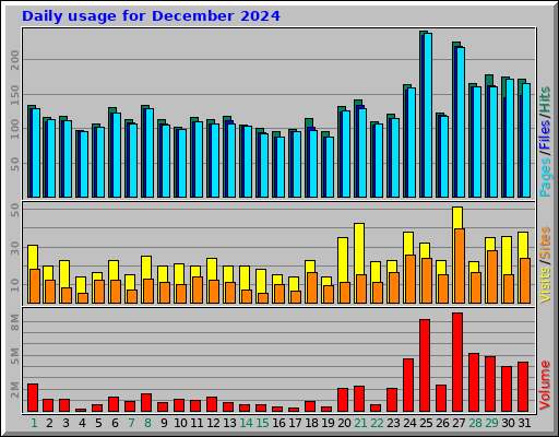 Daily usage for December 2024