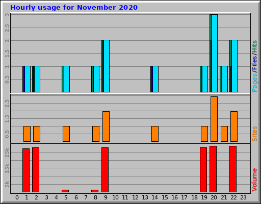 Hourly usage for November 2020