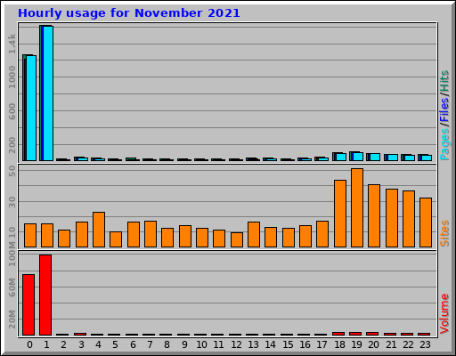 Hourly usage for November 2021
