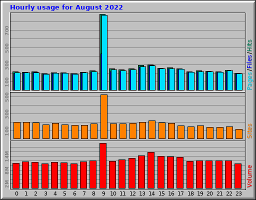 Hourly usage for August 2022