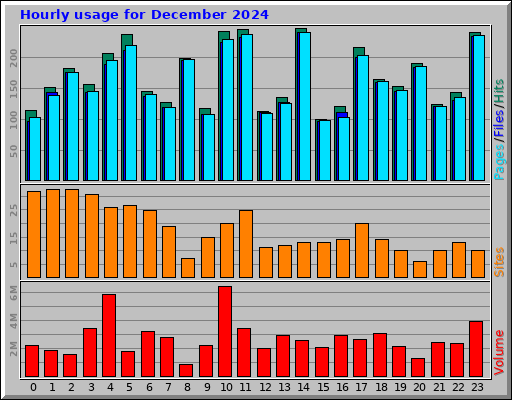 Hourly usage for December 2024